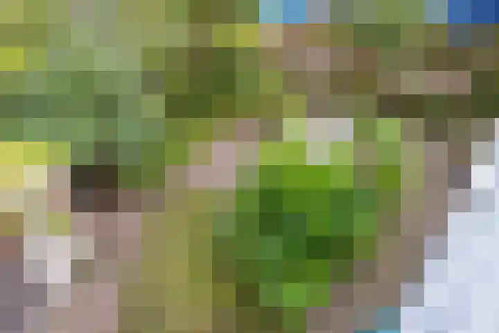 Compagnonsweg 40 Ravenswoud thumbnail 47