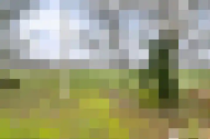Compagnonsweg 40 Ravenswoud thumbnail 48