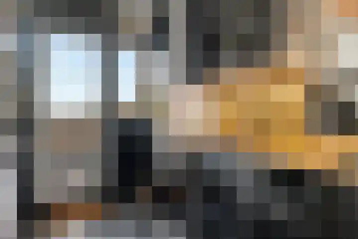Compagnonsweg 40 Ravenswoud thumbnail 49