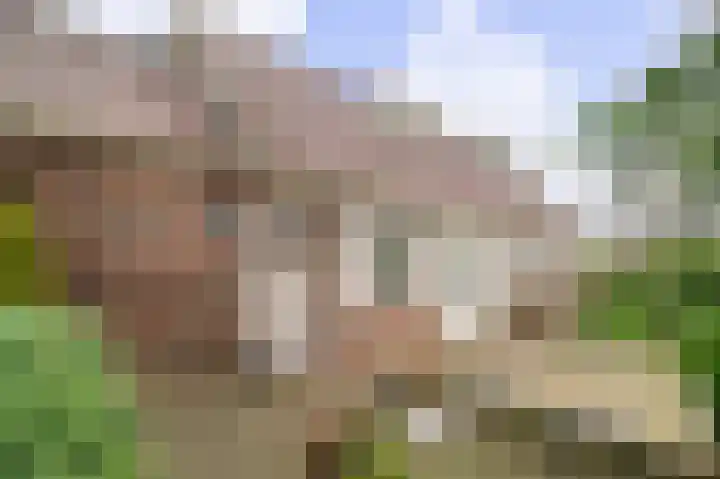 Compagnonsweg 40 Ravenswoud thumbnail 50
