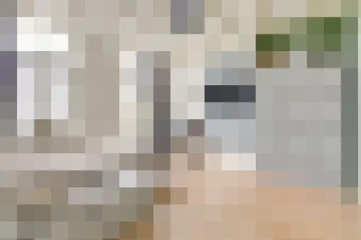 Compagnonsweg 40 Ravenswoud thumbnail 58