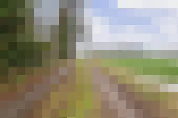 Compagnonsweg 40 Ravenswoud thumbnail 61