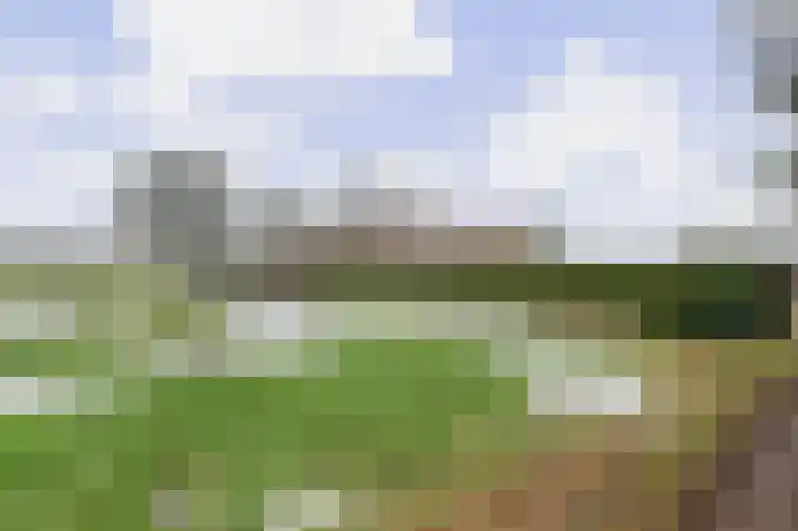 Compagnonsweg 40 Ravenswoud thumbnail 62