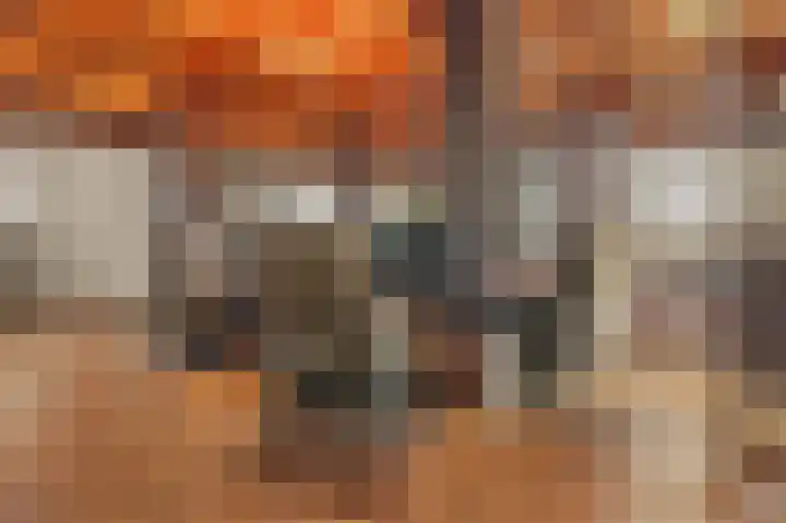 Compagnonsweg 40 Ravenswoud thumbnail 9