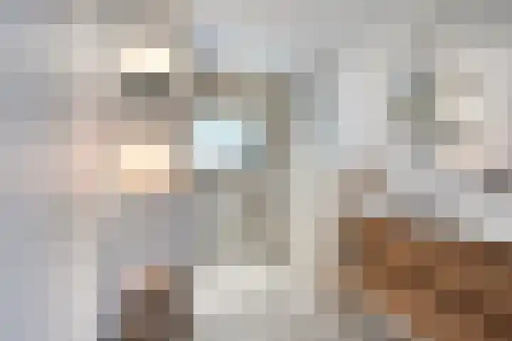 Compagnonsweg 7 Ravenswoud thumbnail 15
