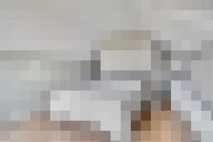Compagnonsweg 7 Ravenswoud thumbnail 18