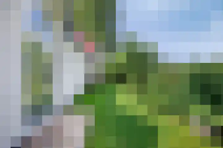 Compagnonsweg 7 Ravenswoud thumbnail 20