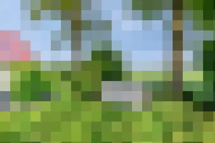 Compagnonsweg 7 Ravenswoud thumbnail 21