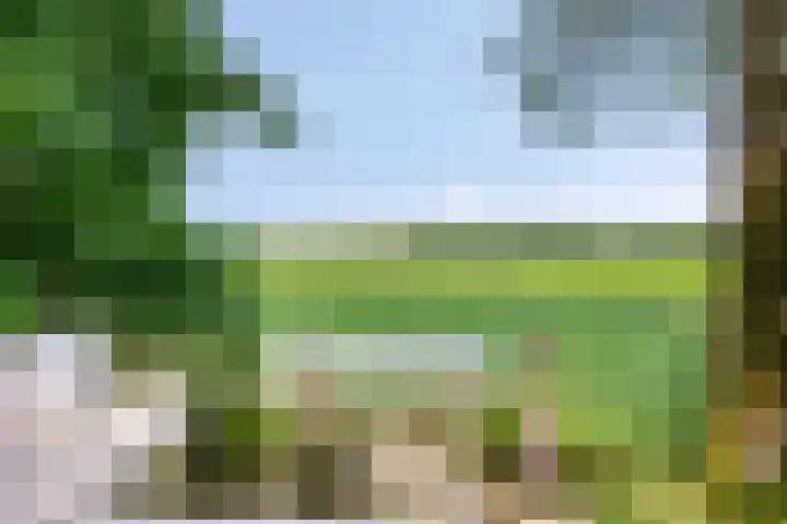 Compagnonsweg 7 Ravenswoud thumbnail 22