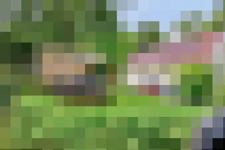 Compagnonsweg 7 Ravenswoud thumbnail 23