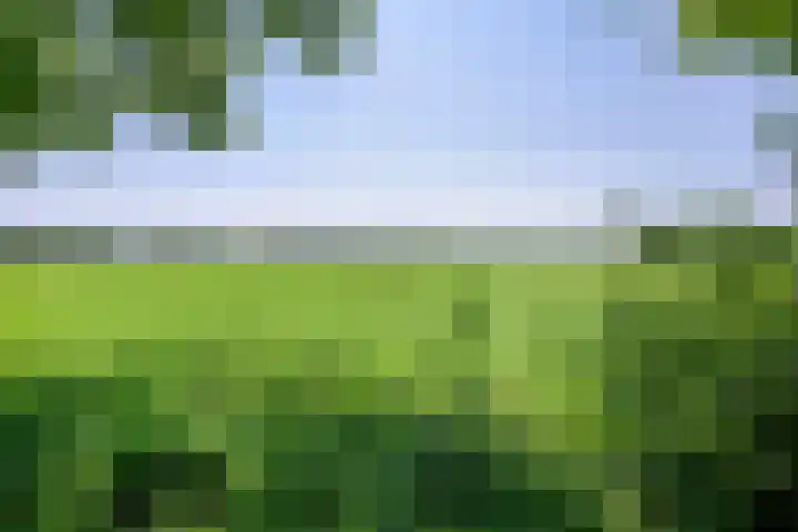 Compagnonsweg 7 Ravenswoud thumbnail 25