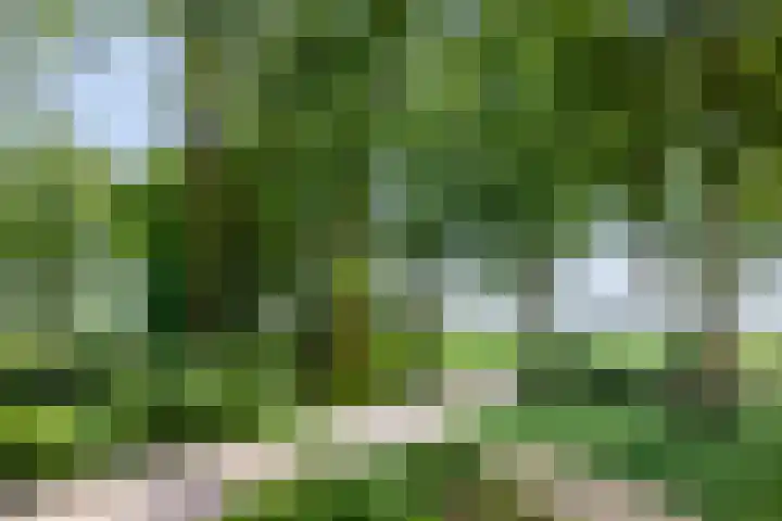 Compagnonsweg 7 Ravenswoud thumbnail 26