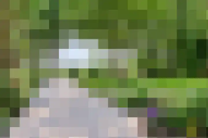 Compagnonsweg 7 Ravenswoud thumbnail 27