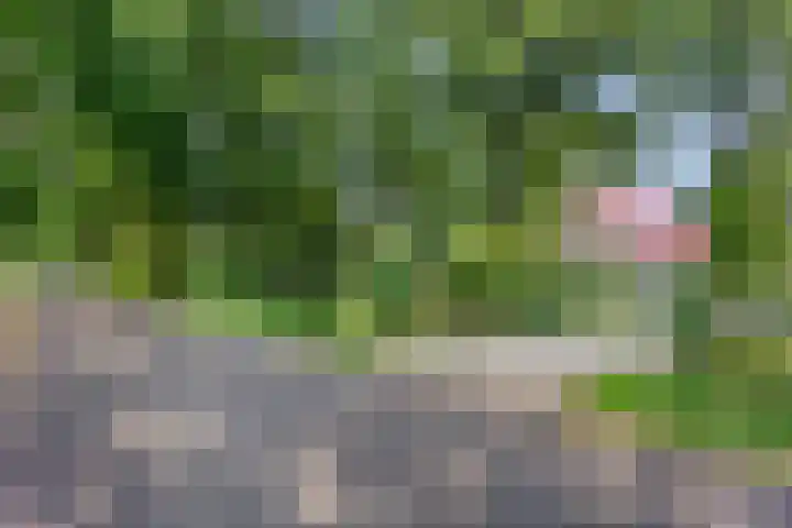 Compagnonsweg 7 Ravenswoud thumbnail 28