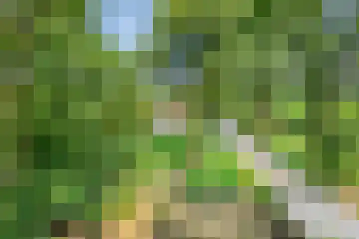 Compagnonsweg 7 Ravenswoud thumbnail 29