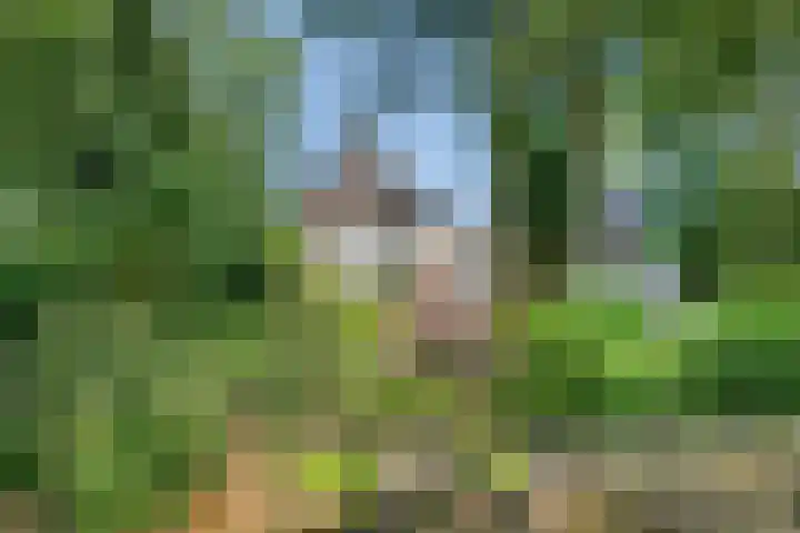 Compagnonsweg 7 Ravenswoud thumbnail 30