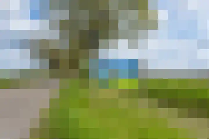 Compagnonsweg 7 Ravenswoud thumbnail 32