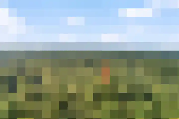 Compagnonsweg 7 Ravenswoud thumbnail 36