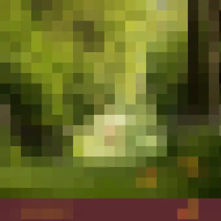 Compagnonsweg 7 Ravenswoud thumbnail 37