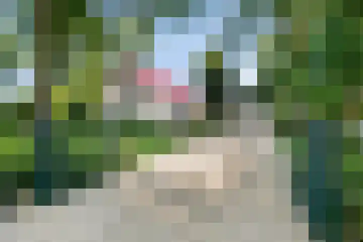 Compagnonsweg 7 Ravenswoud thumbnail 4