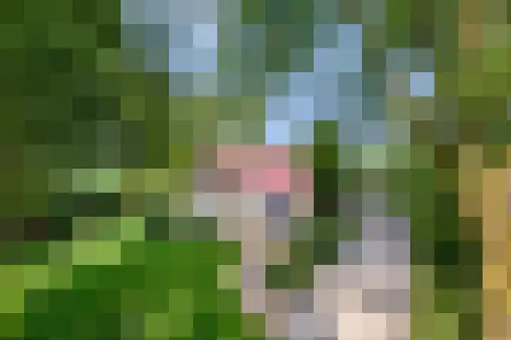 Compagnonsweg 7 Ravenswoud thumbnail 41
