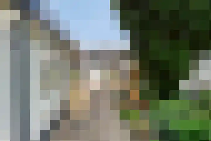 Compagnonsweg 7 Ravenswoud thumbnail 5