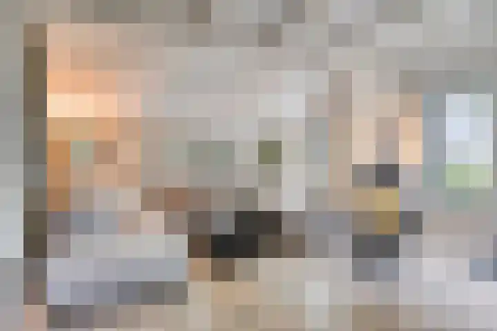 Compagnonsweg 7 Ravenswoud thumbnail 9