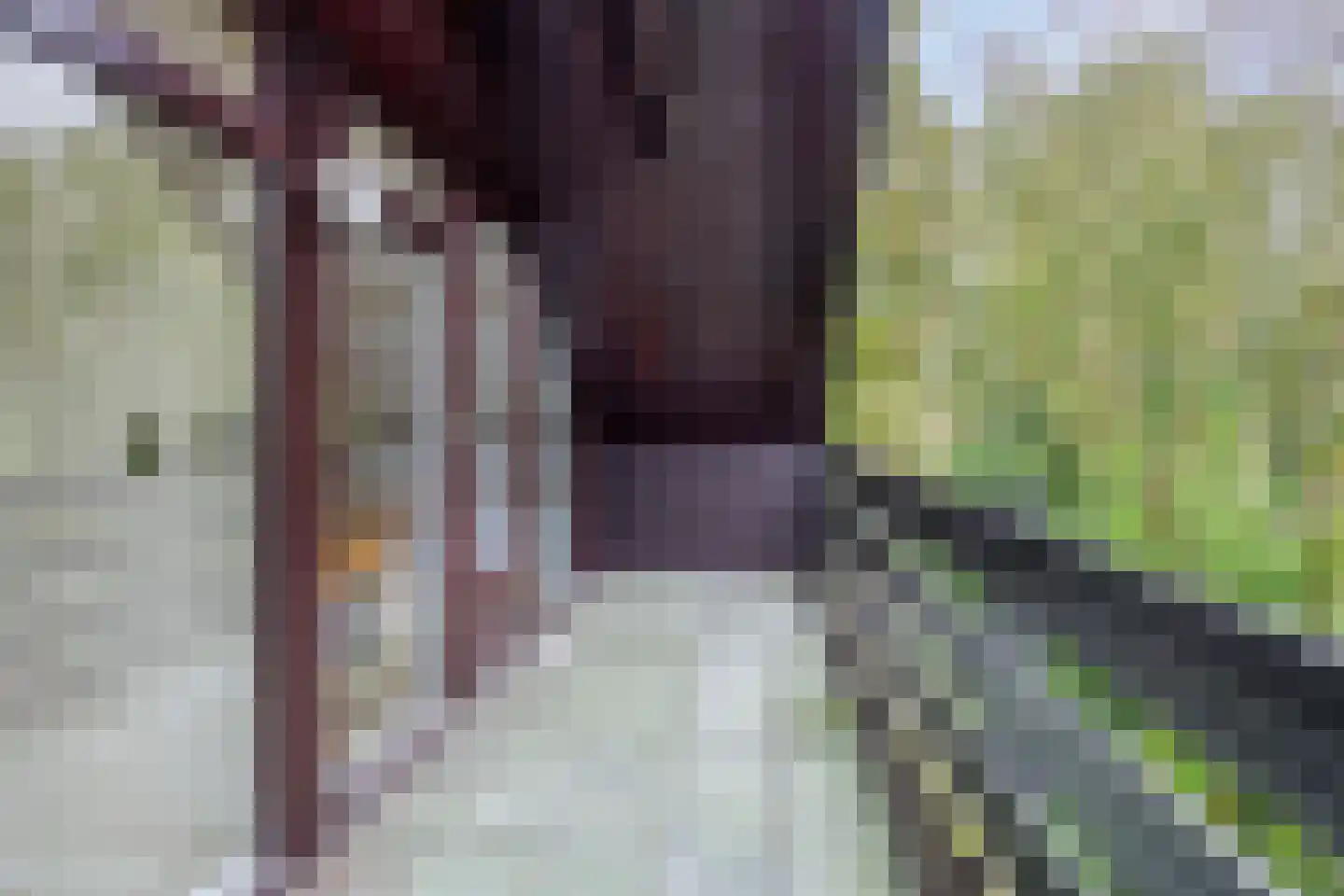 Compagnonsweg 8 Ravenswoud thumbnail 40