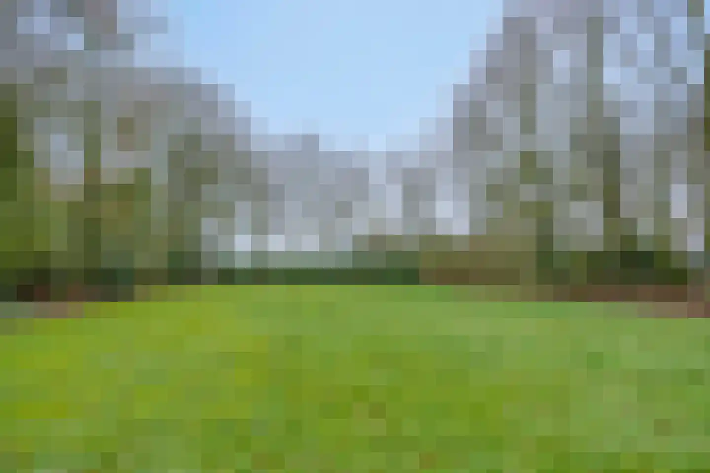 Compagnonsweg 8 Ravenswoud thumbnail 48