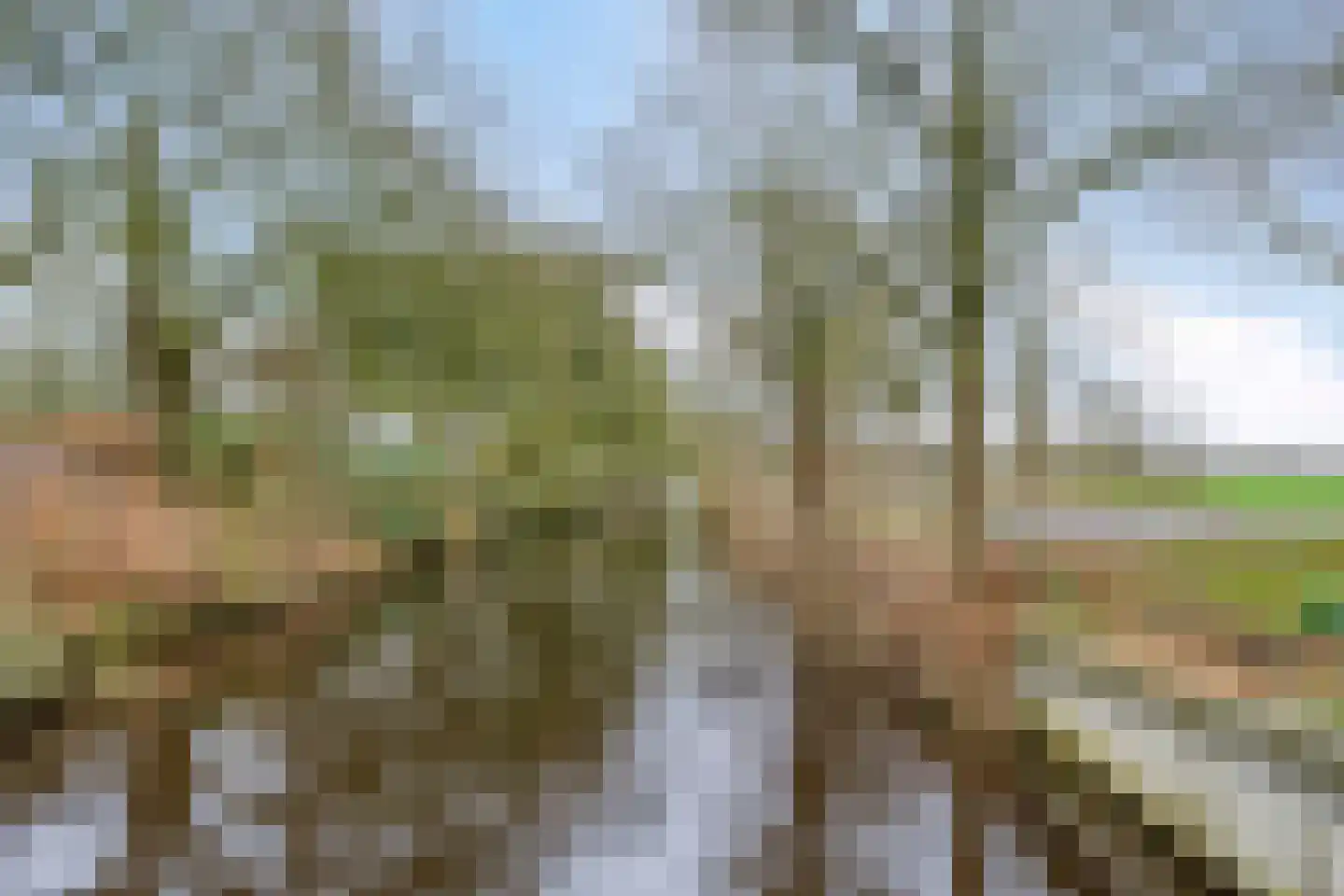 Compagnonsweg 8 Ravenswoud thumbnail 53