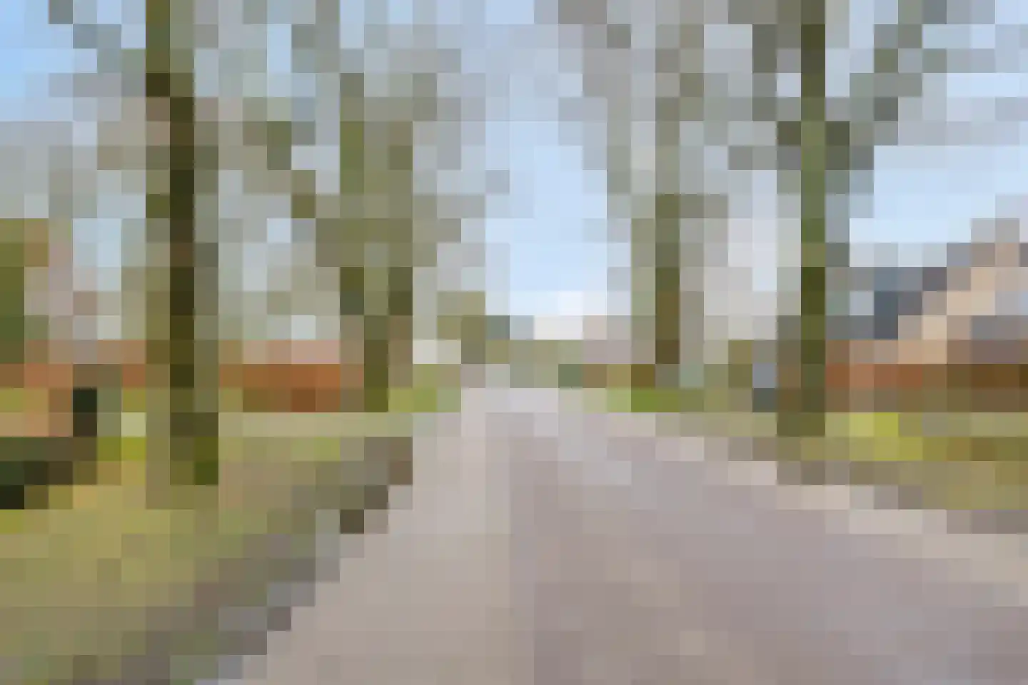 Compagnonsweg 8 Ravenswoud thumbnail 56