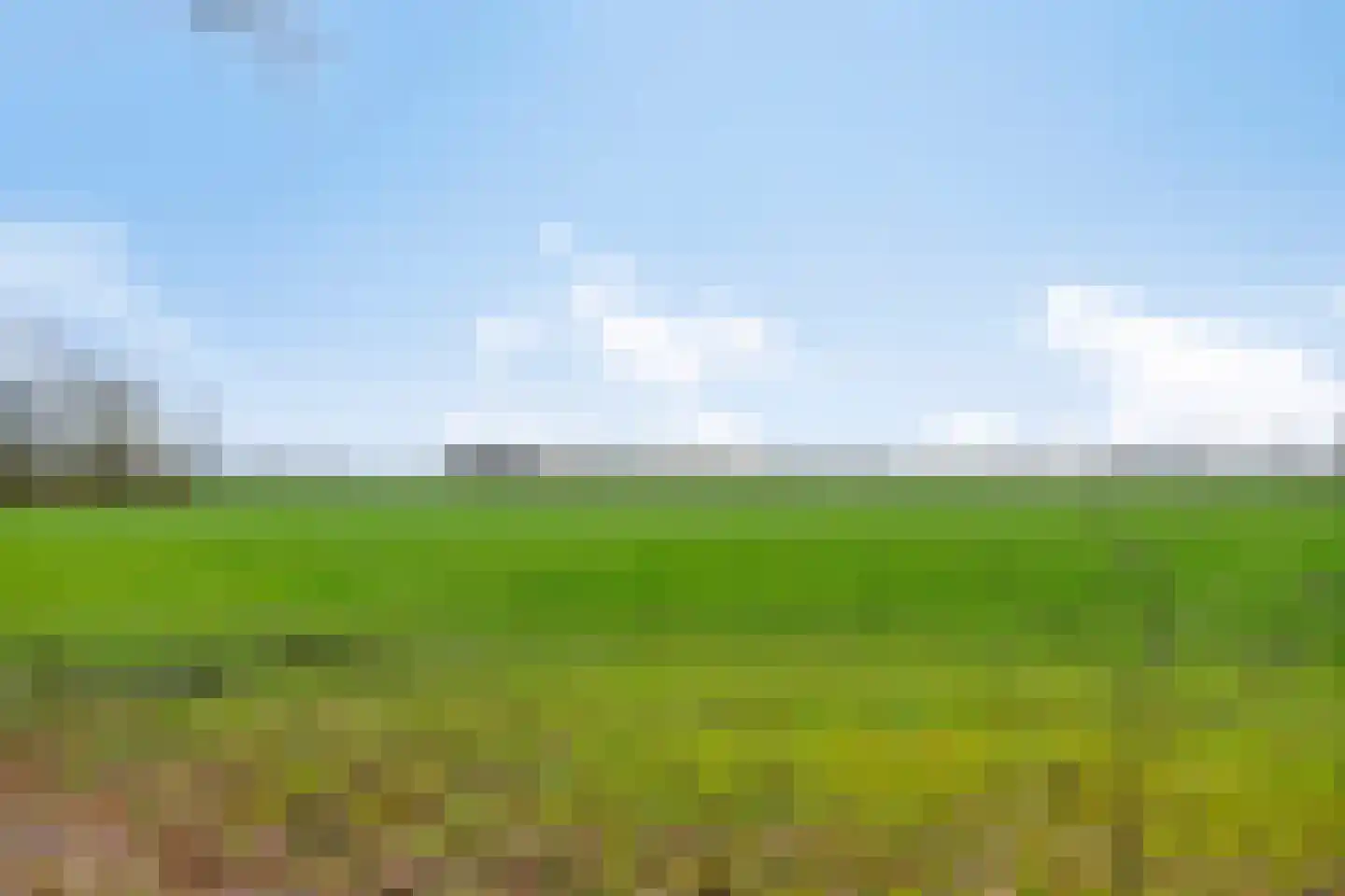 Compagnonsweg 8 Ravenswoud thumbnail 58