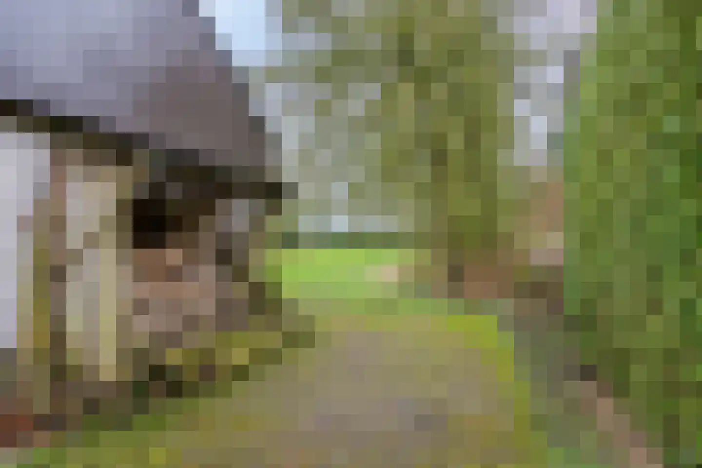 Compagnonsweg 8 Ravenswoud thumbnail 60