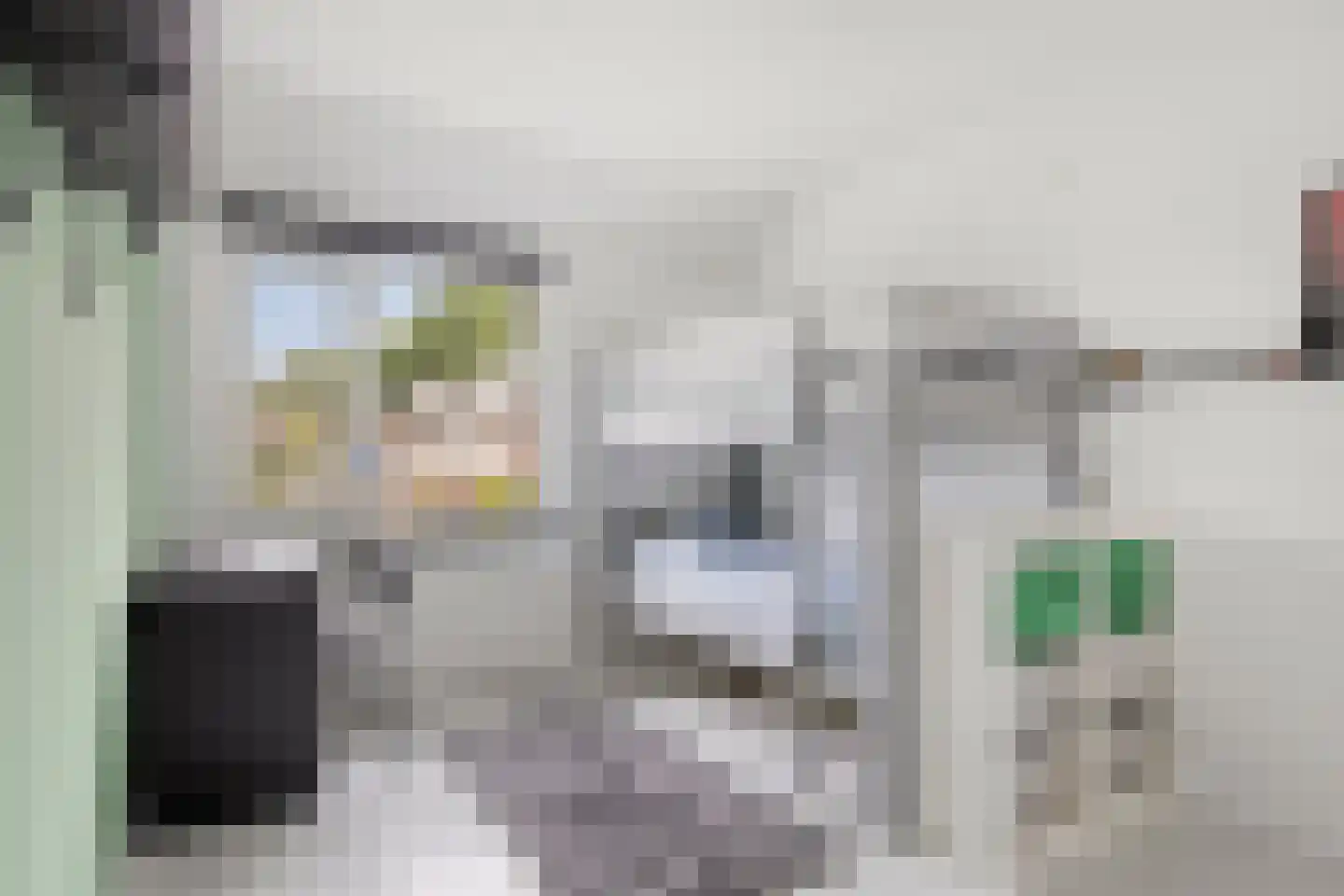 Compiègnehof 5 Eindhoven thumbnail 20