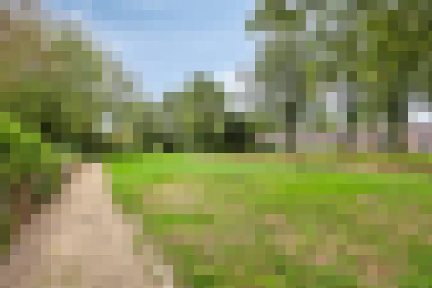 Compiègnehof 5 Eindhoven thumbnail 34