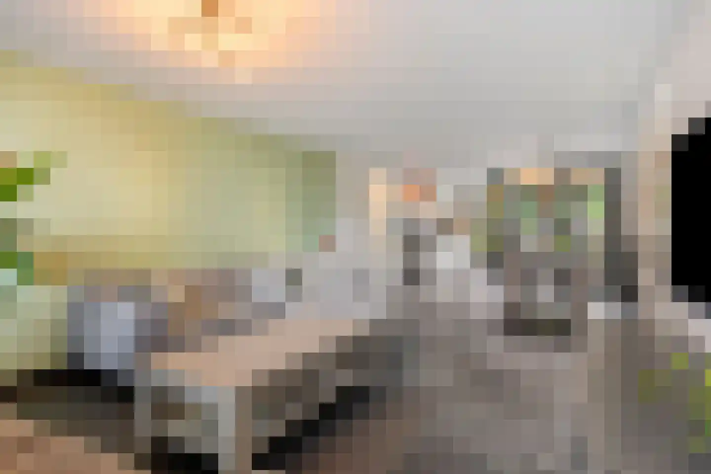 Componistenlaan 10 Sint-Oedenrode thumbnail 16