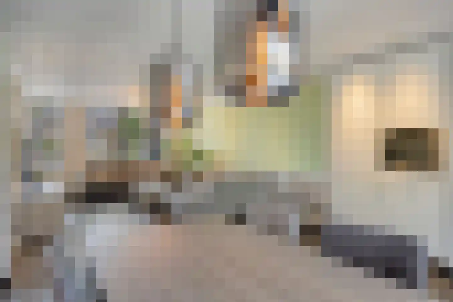 Componistenlaan 10 Sint-Oedenrode thumbnail 20