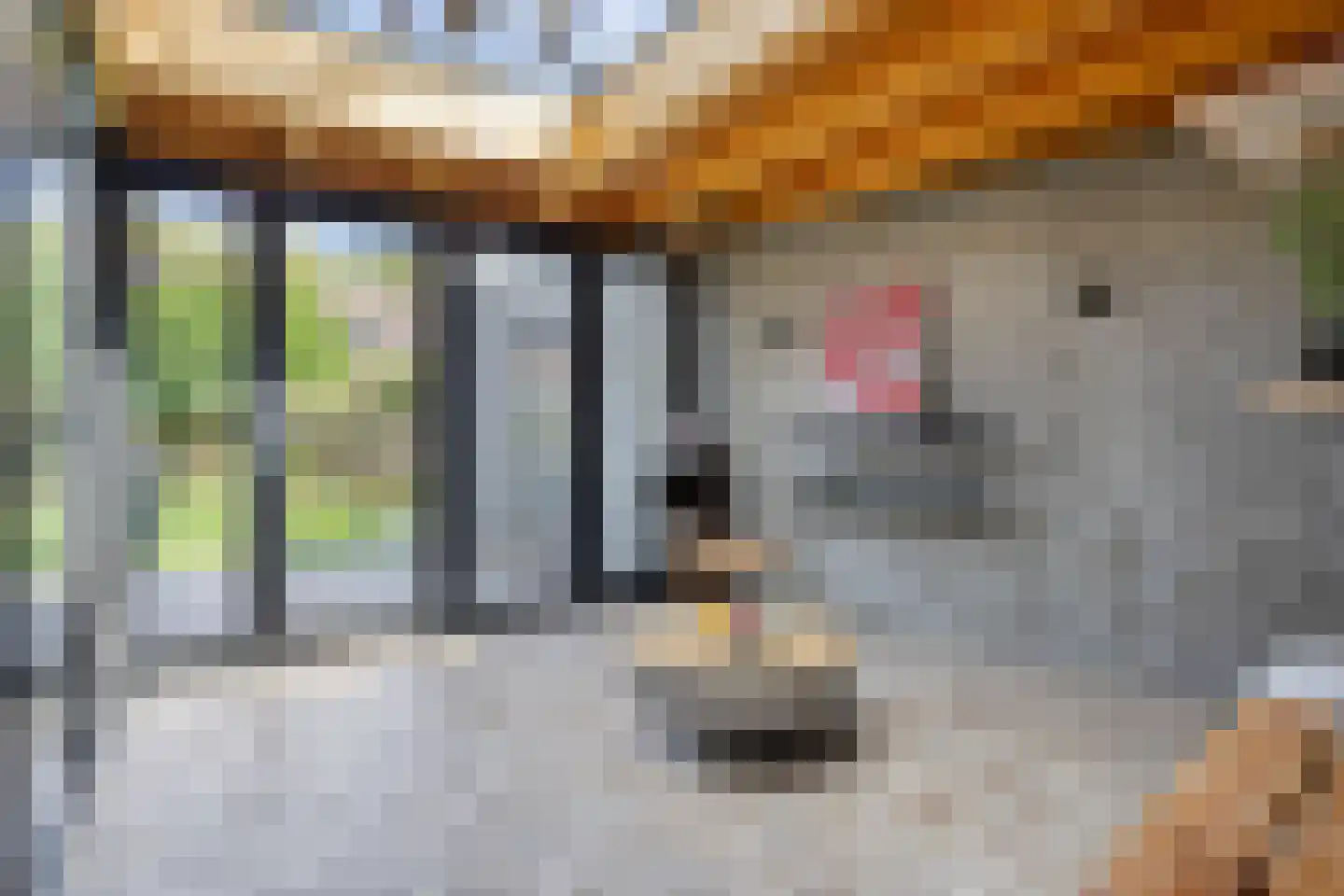 Componistenlaan 10 Sint-Oedenrode thumbnail 27