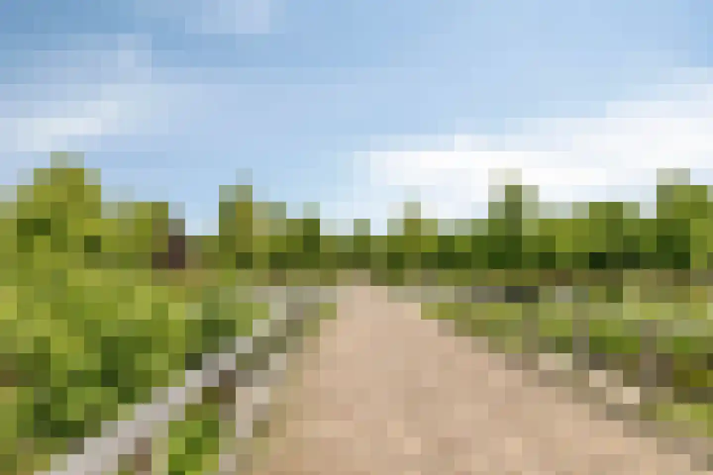 Componistenlaan 10 Sint-Oedenrode thumbnail 48