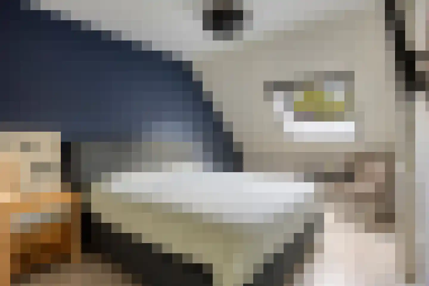 Componistenlaan 10 Sint-Oedenrode thumbnail 5