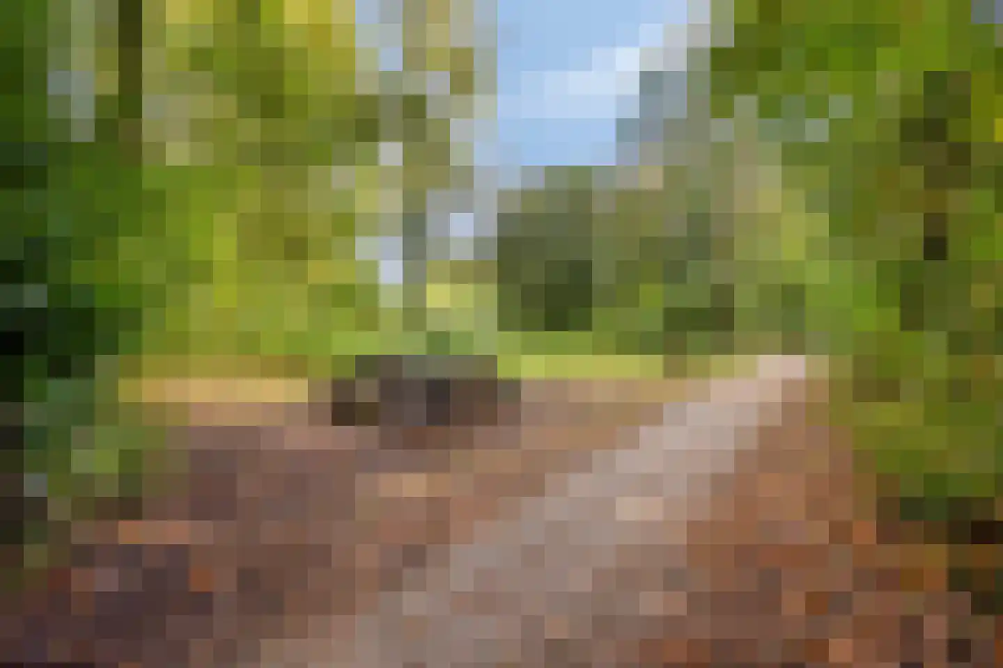 Componistenlaan 10 Sint-Oedenrode thumbnail 51
