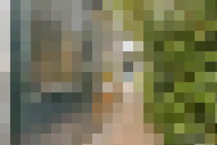 Componistenlaan 114 Gouda thumbnail 15