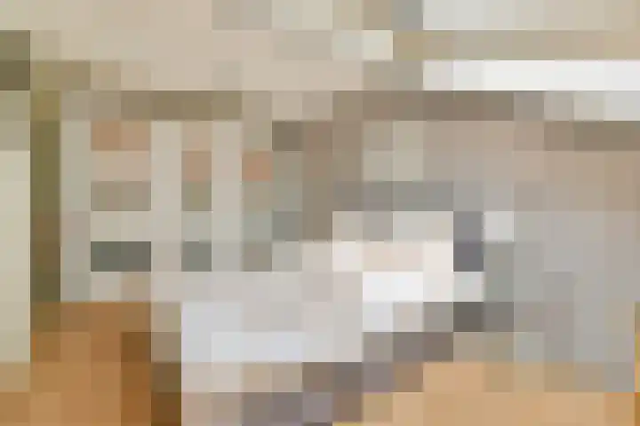 Componistenlaan 114 Gouda thumbnail 18