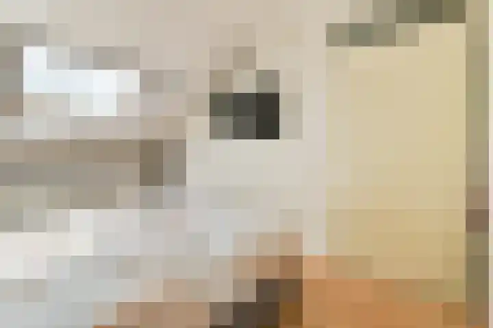 Componistenlaan 114 Gouda thumbnail 19