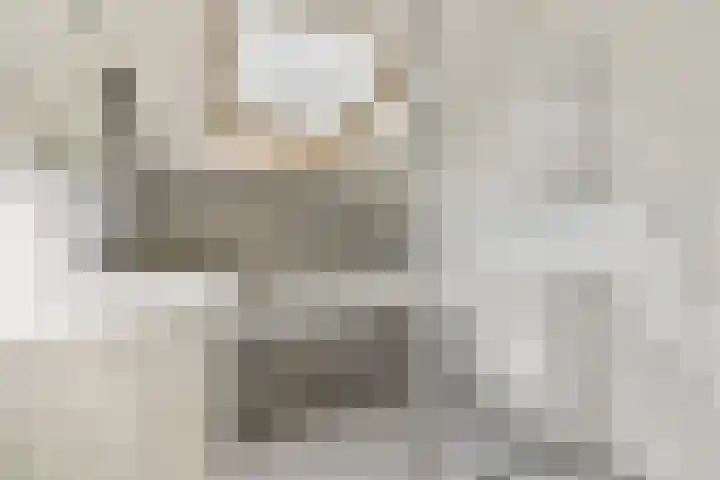 Componistenlaan 114 Gouda thumbnail 20