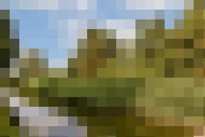Componistenlaan 114 Gouda thumbnail 30