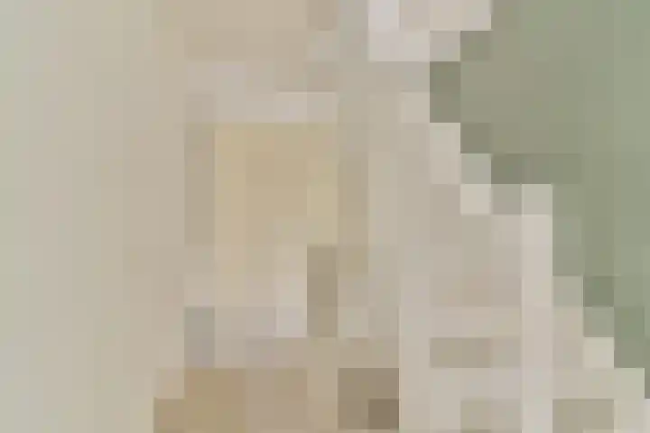 Componistenlaan 117 Gouda thumbnail 10