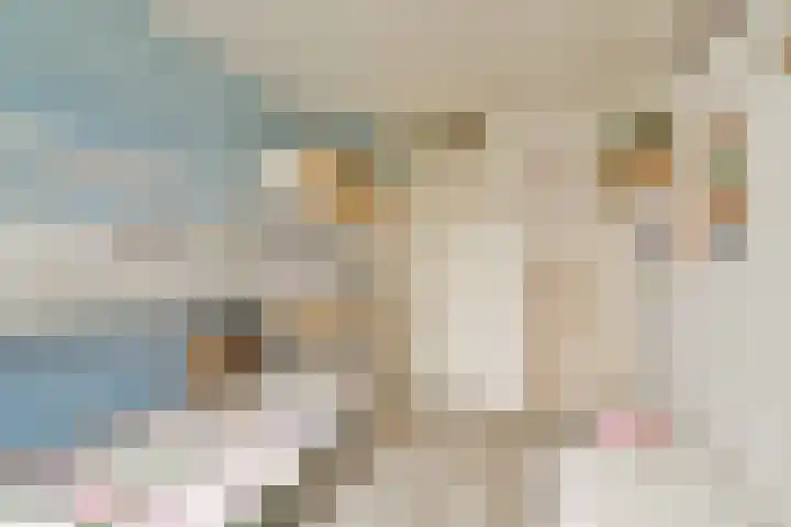 Componistenlaan 117 Gouda thumbnail 12