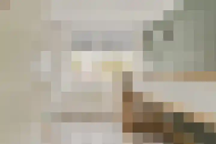 Componistenlaan 117 Gouda thumbnail 13
