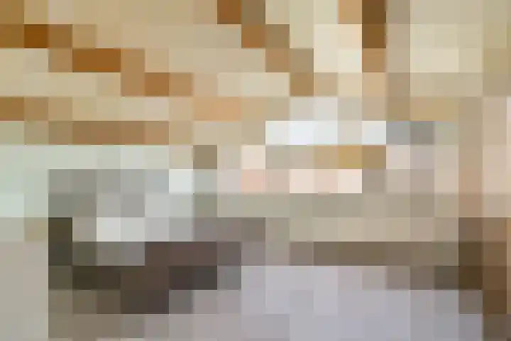Componistenlaan 117 Gouda thumbnail 16
